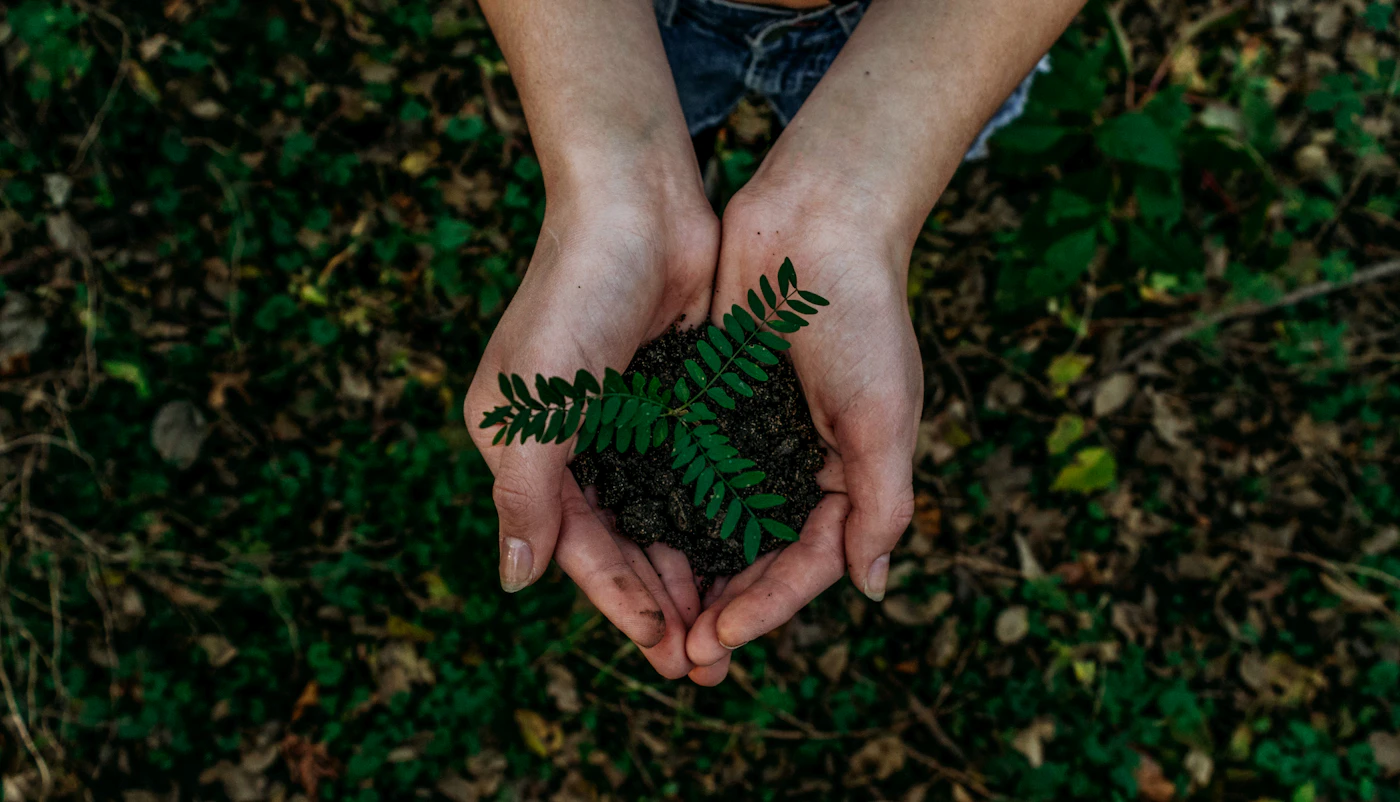 Natura i zrównoważony rozwój
